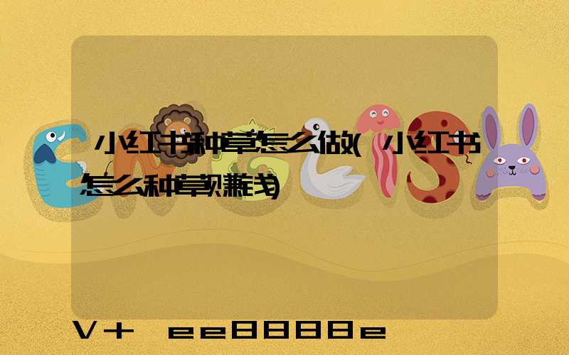 小红书种草怎么做(小红书怎么种草赚钱)