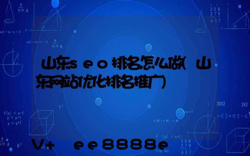 山东seo排名怎么做(山东网站优化排名推广)