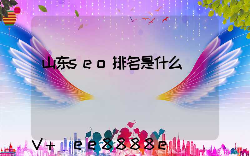 山东seo排名是什么