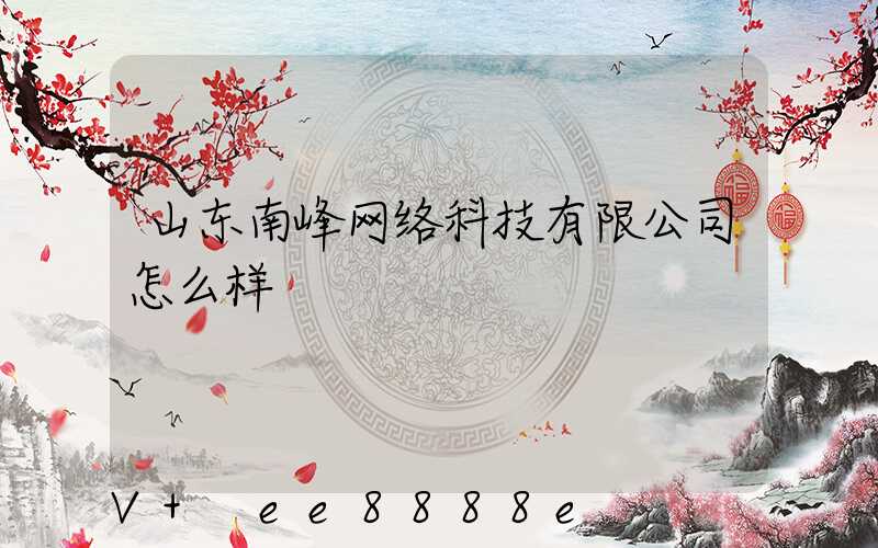 山东南峰网络科技有限公司怎么样