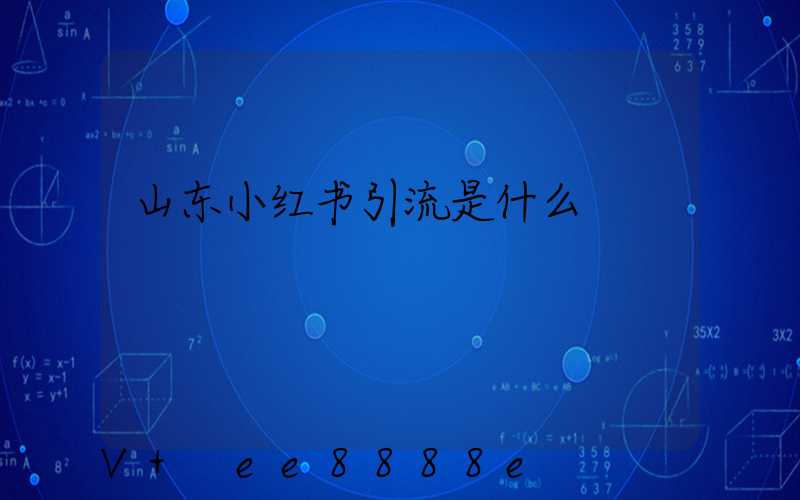 山东小红书引流是什么