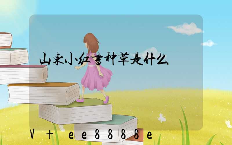 山东小红书种草是什么