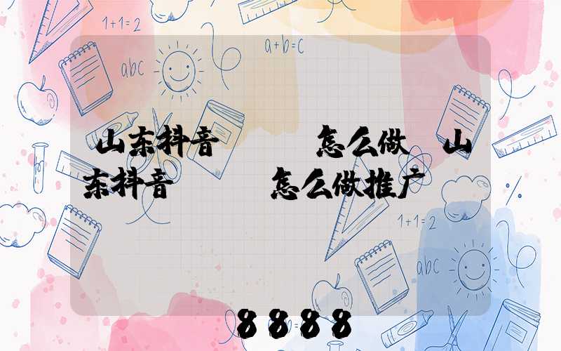 山东抖音seo怎么做(山东抖音seo怎么做推广)