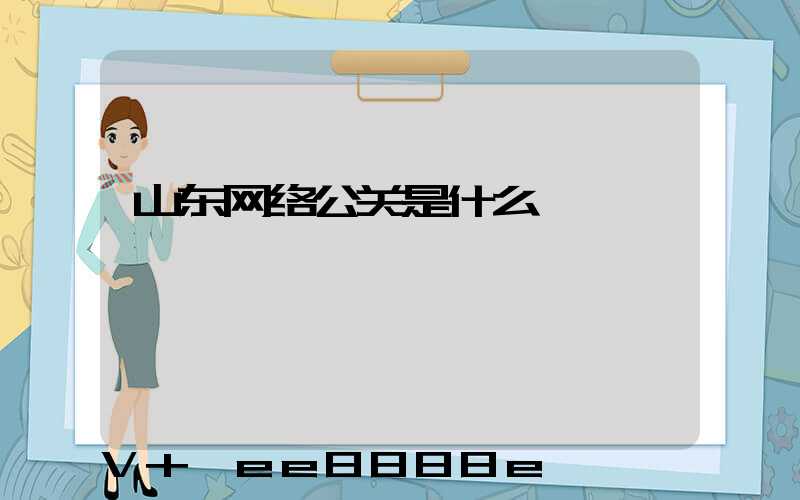 山东网络公关是什么