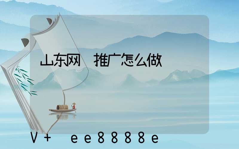 山东网络推广怎么做
