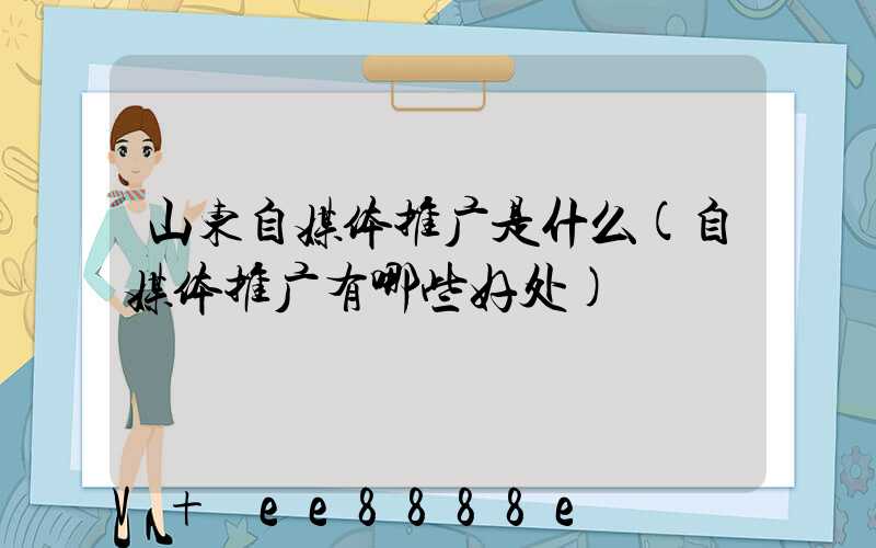 山东自媒体推广是什么(自媒体推广有哪些好处)