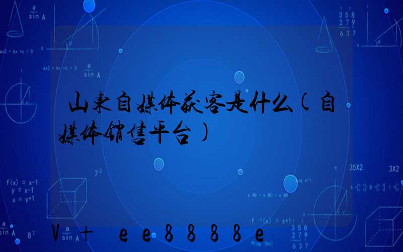 山东自媒体获客是什么(自媒体销售平台)