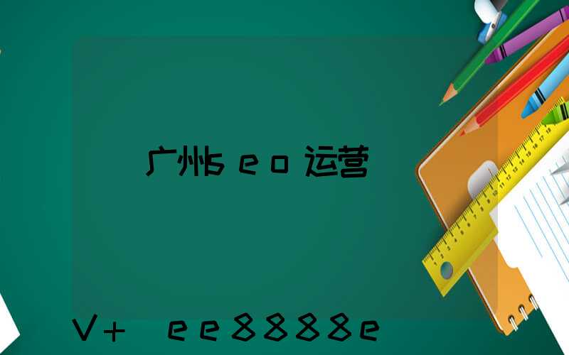 广州seo运营