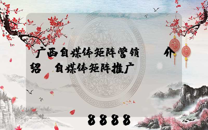 广西自媒体矩阵营销ai介绍(自媒体矩阵推广)