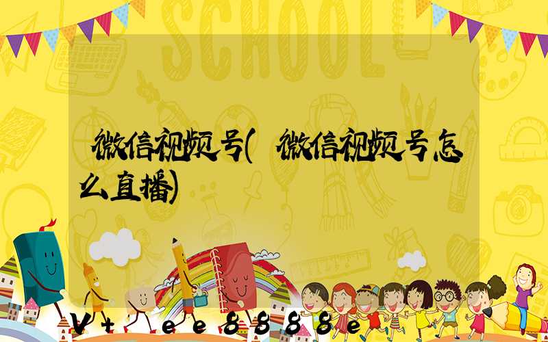 微信视频号(微信视频号怎么直播)