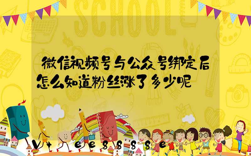 微信视频号与公众号绑定后怎么知道粉丝涨了多少呢