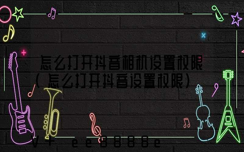 怎么打开抖音相机设置权限(怎么打开抖音设置权限)