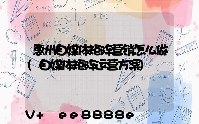 惠州自媒体矩阵营销怎么做(自媒体矩阵运营方案)