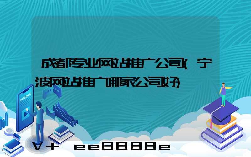 成都专业网站推广公司(宁波网站推广哪家公司好)