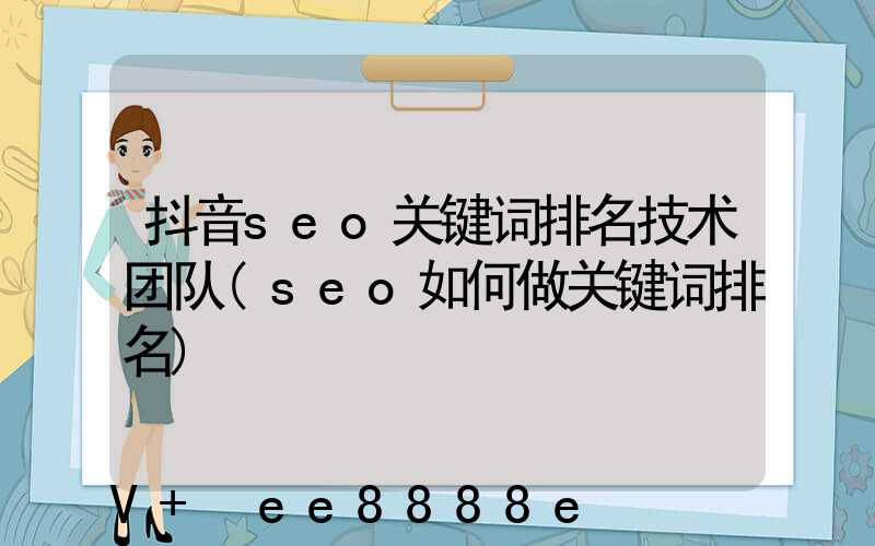 抖音seo关键词排名技术团队(seo如何做关键词排名)