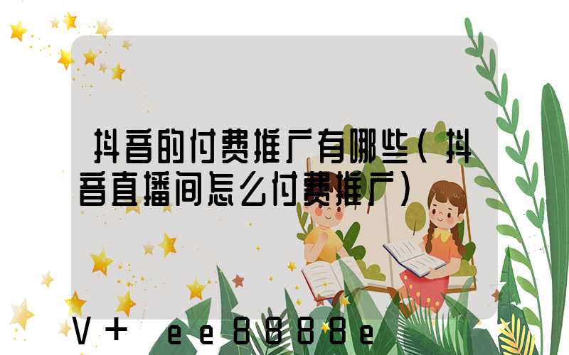 抖音的付费推广有哪些(抖音直播间怎么付费推广)