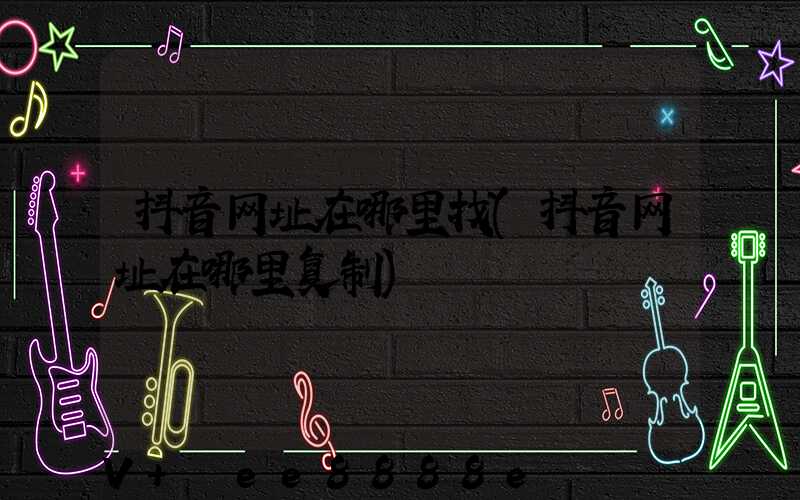 抖音网址在哪里找(抖音网址在哪里复制)