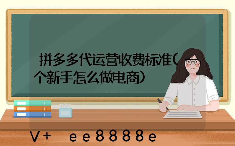 拼多多代运营收费标准(一个新手怎么做电商)
