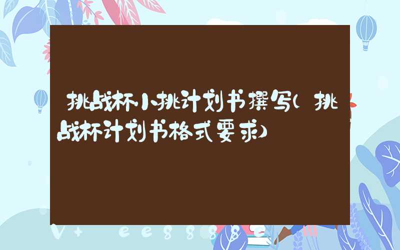 挑战杯小挑计划书撰写(挑战杯计划书格式要求)