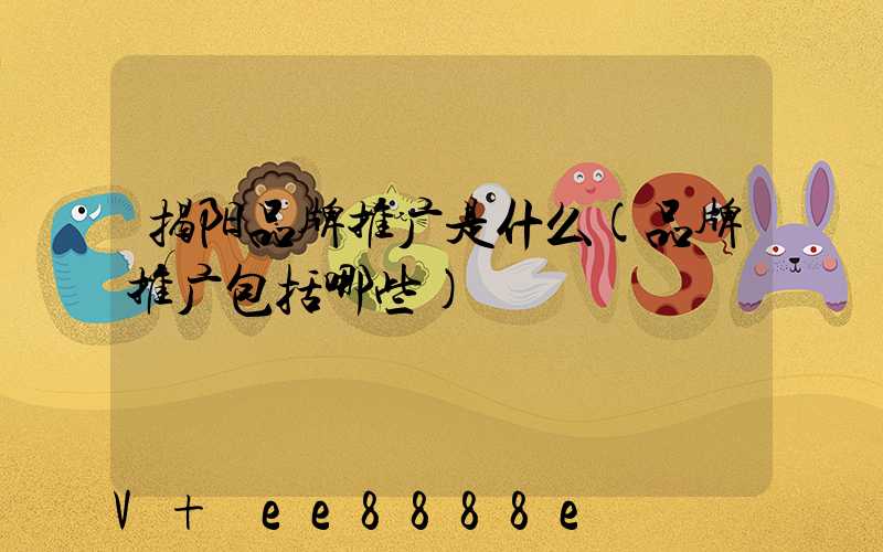 揭阳品牌推广是什么(品牌推广包括哪些)
