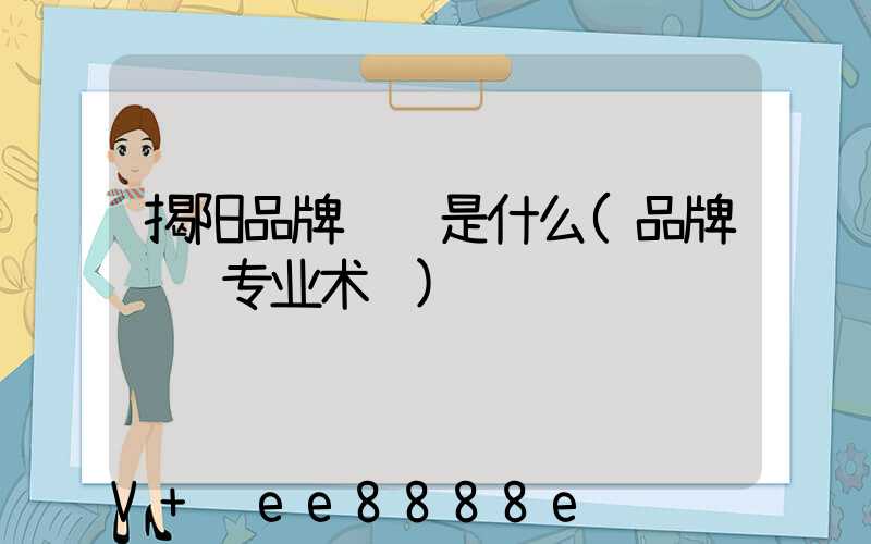 揭阳品牌营销是什么(品牌营销专业术语)