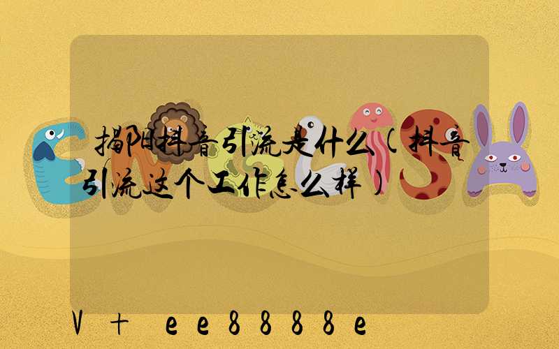 揭阳抖音引流是什么(抖音引流这个工作怎么样)