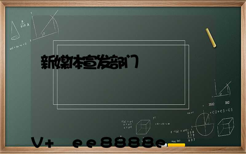 新媒体宣发部门