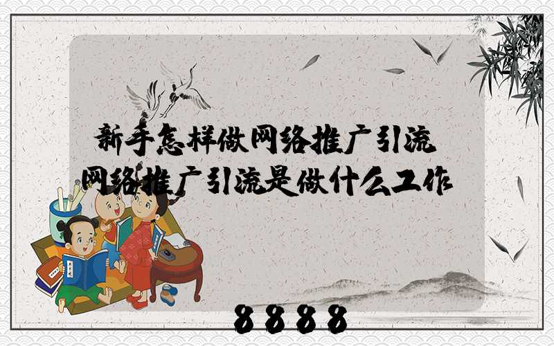 新手怎样做网络推广引流(网络推广引流是做什么工作)