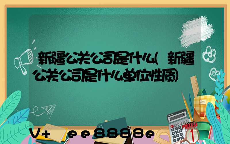 新疆公关公司是什么(新疆公关公司是什么单位性质)