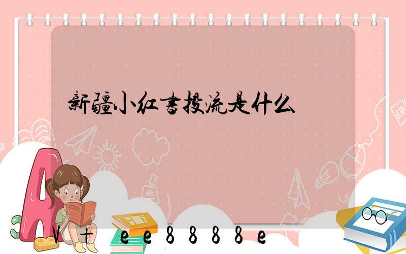 新疆小红书投流是什么