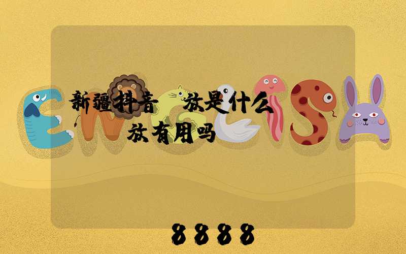 新疆抖音投放是什么(dou+投放有用吗)