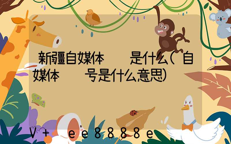 新疆自媒体营销是什么(自媒体营销号是什么意思)
