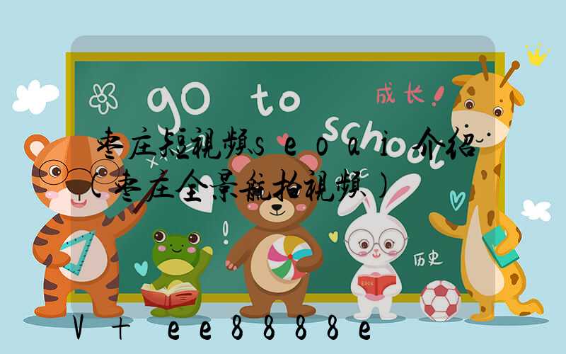 枣庄短视频seoai介绍(枣庄全景航拍视频)
