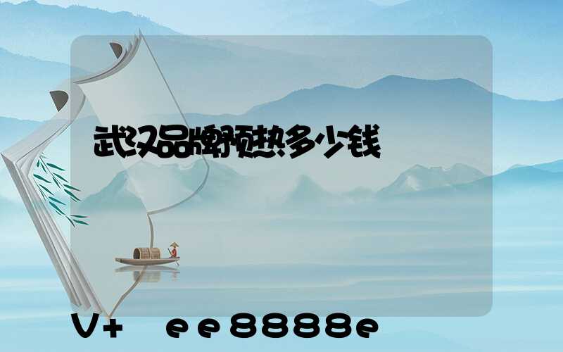 武汉品牌预热多少钱