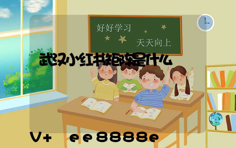 武汉小红书矩阵是什么