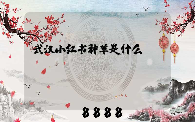 武汉小红书种草是什么