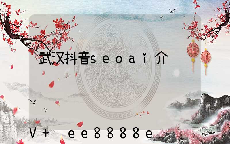 武汉抖音seoai介绍