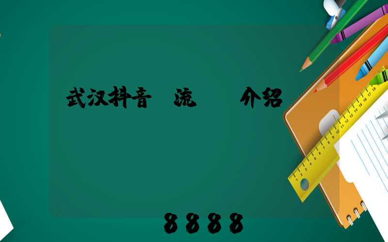 武汉抖音投流ai介绍