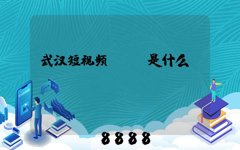 武汉短视频seo是什么