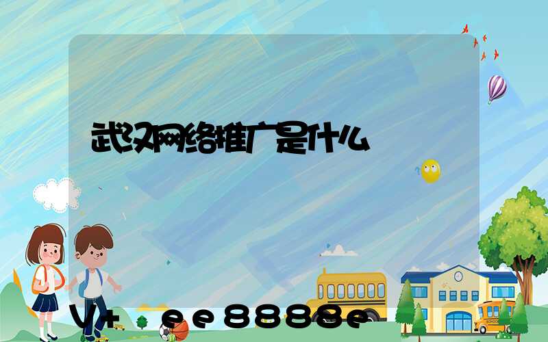 武汉网络推广是什么