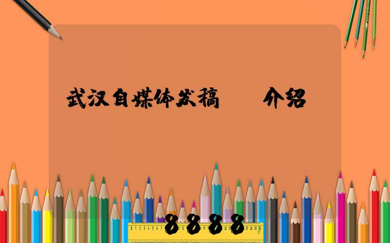 武汉自媒体发稿ai介绍