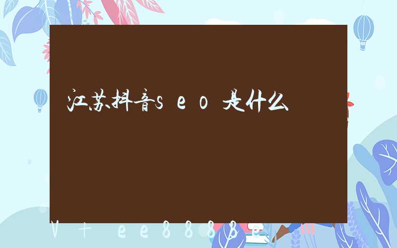 江苏抖音seo是什么