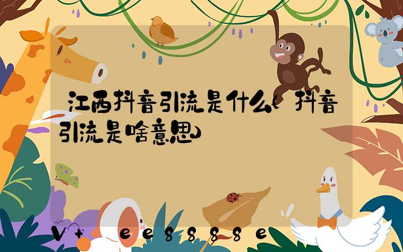 江西抖音引流是什么(抖音引流是啥意思)