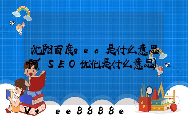沈阳百度seo是什么意思啊(SEO优化是什么意思)