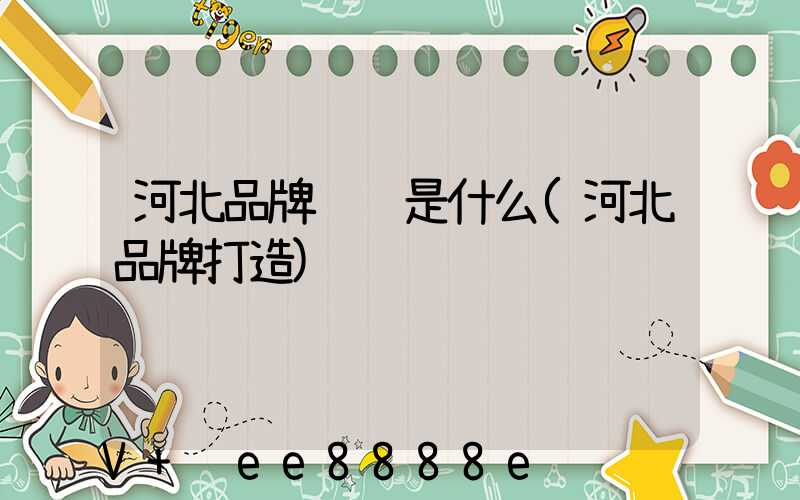 河北品牌营销是什么(河北品牌打造)
