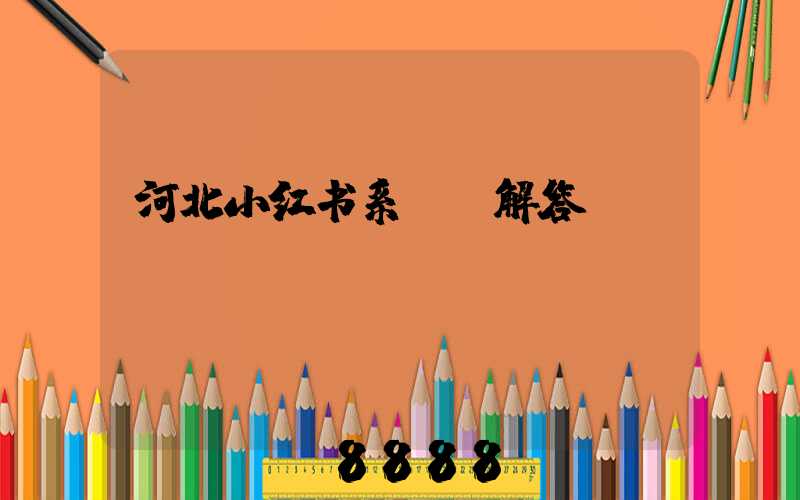 河北小红书系ai解答