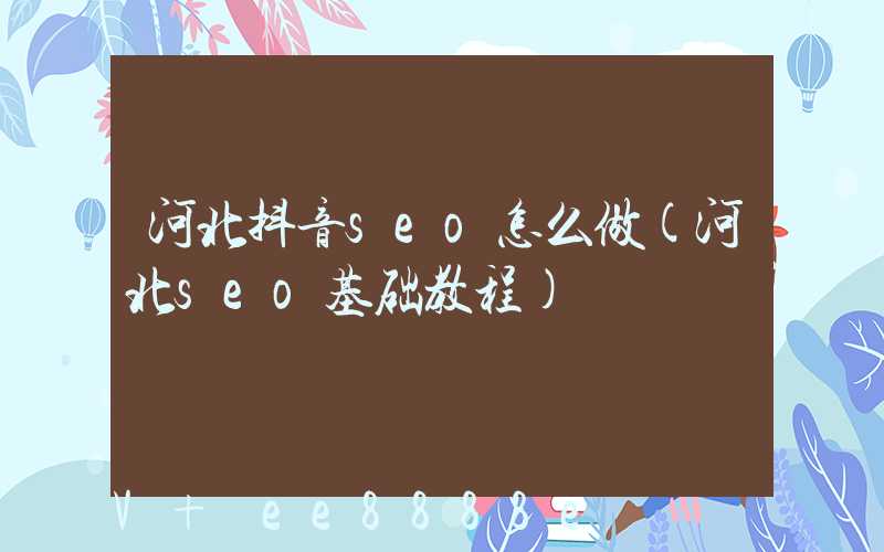 河北抖音seo怎么做(河北seo基础教程)