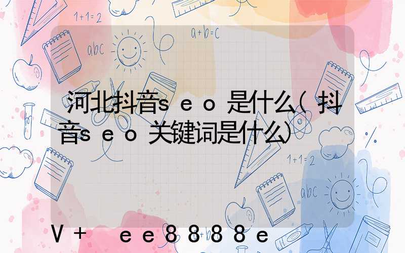 河北抖音seo是什么(抖音seo关键词是什么)