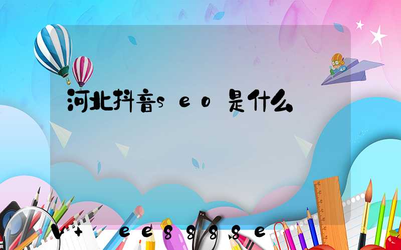 河北抖音seo是什么