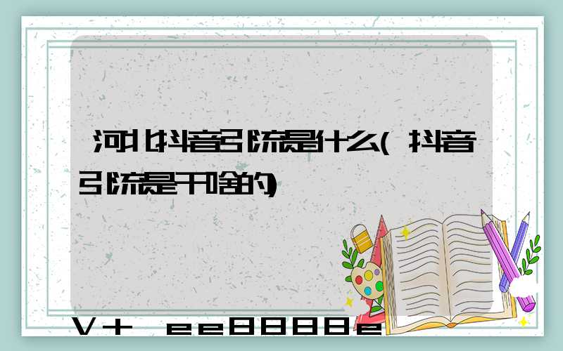 河北抖音引流是什么(抖音引流是干啥的)